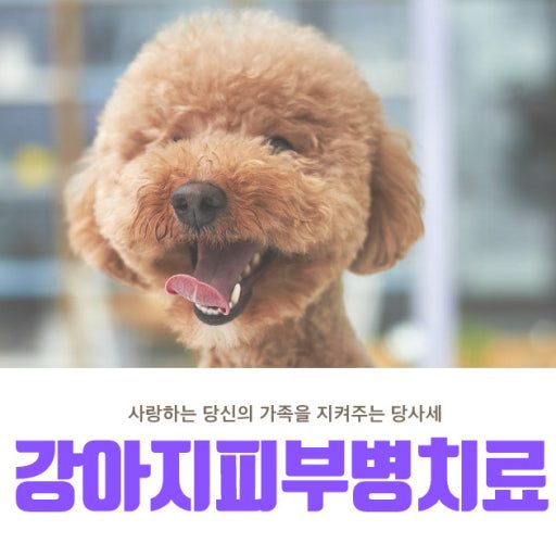 피부치료